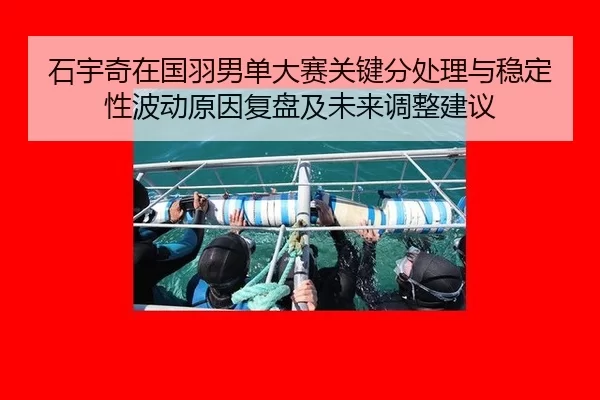 shi-yu-qi-zai-guo-yu-nan-dan-da-sai-guan-jian-fen-chu-li-yu-wen-ding-xing-bo-dong-yuan-yin-fu-pan-ji-wei-lai-tiao-zheng-1-426.jpg