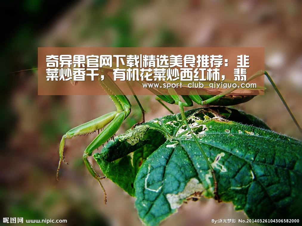 奇异果电脑版