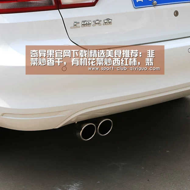奇异果电脑版